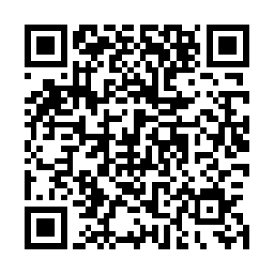 其实在普通民众看不到的地方每天都在上演这样的生死搏杀二维码生成