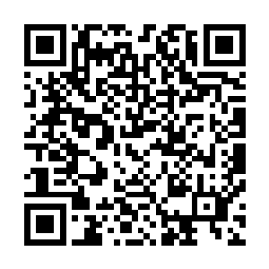 其实多少也是在表达对于整个奥斯卡事件完全不知情的不满二维码生成