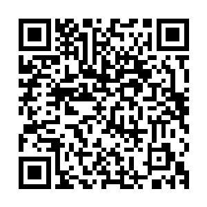 其实她现在更加期待羽果和羽氏三姐妹碰面的时候会是什么局面二维码生成