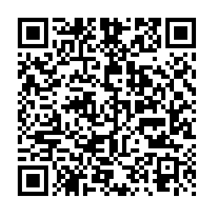 其实她现在正想着自己是继续做普通任务提升等级呢还是做试炼任务二维码生成