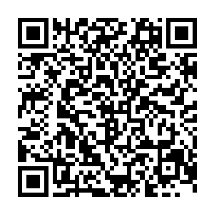 其实对于跟华为高层的会面只是对于已经洽淡好的项目再一次确定而已二维码生成