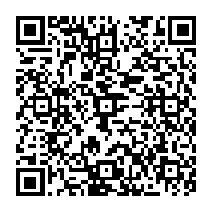 其实就是气爆术的一种简单的运用……龙象法王的龙象菩提金身的防御力实在是太强悍了二维码生成