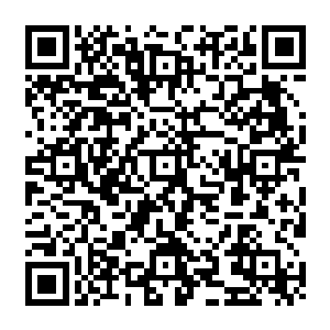 其实就是让自己多出了两种可以选择的锻炼自己搏杀技能的元素――一个是战斗的环境二维码生成