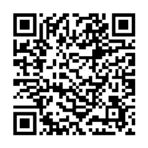 其实已经开始与修罗路主人创造的修罗法则渐渐分离二维码生成