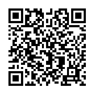 其实并没有指望他们真的将手底下的隐户登记造册成为公民二维码生成