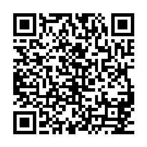 其实我们一直都没有讨论过你到底想要成为一名什么样的演员二维码生成