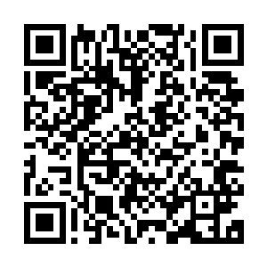 其实我只是比你们更善于理解人类性格中那组极其不稳定的变量二维码生成