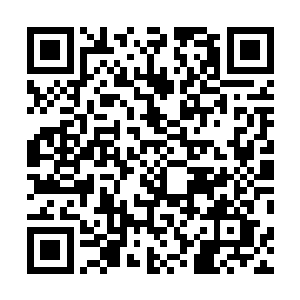 其实最主要的还是必须得先准确地把握到被催眠对象的脑二维码生成