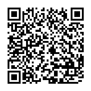 其实有时杂种反而优势……既近身突袭能打破我们标准舰阵的战术安全冗余量二维码生成