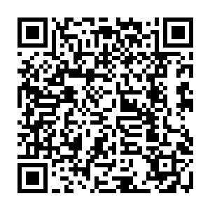 其实本就没想过你们能够活着离开云海……你父母那时候还很年轻……而我二维码生成