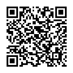 其实林诗诗和林蔓在他心中都是很单纯简单的女孩子二维码生成