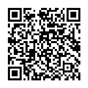 其实洛悠悠此时目的已经不在是在找银两那么简单了二维码生成