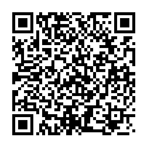 其实濮小虎替苏落挨军棍的事……是站在他身后的苏落暗中提点的二维码生成