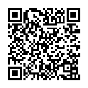 其实灵草不用放在眼前便已经可以看个不离十了二维码生成