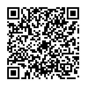 其实犹如带小孩一般努力让着眼前的小家伙不作出什么过分的举动二维码生成