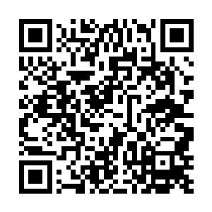 其实真正可以咀嚼的是程文羽为文坛死对头的仗义执言二维码生成