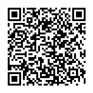 其实真正的有钱人绝对不多的……反倒是那些身家一般的赌客是主流客源二维码生成