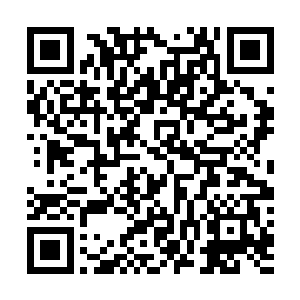 其实自从发现这超SSS飞行器的防御能够抵御战斗机攻击时二维码生成