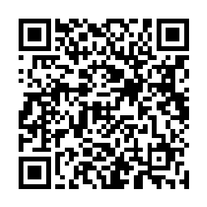 其实要不是把飞鲸和娃娃鱼丢去防御丹云门和中央神塔二维码生成