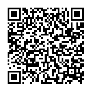 其实说这话凤惊华也是安抚雪绒她不到迫不得已的时候是不会用雪绒的二维码生成