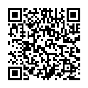 其实赵诗文在拍戏的时候仔细考虑了一下林光山刚刚说的话二维码生成