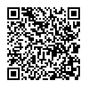 其实还没有开放到在这些事关国计民生的行业里对民营经济敞开大门的地步二维码生成