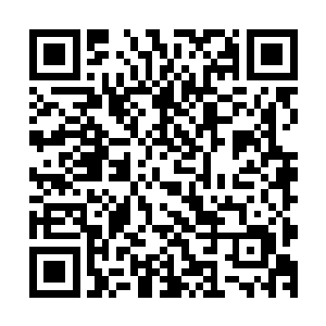 其实这场战斗完全可以说是以林辰的幻影剑诀作为比武的终结二维码生成