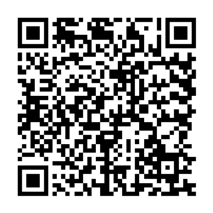 其实那些代表都迫不及待等引导我们尸兄大军前往他们各自所在的国家二维码生成