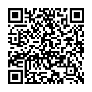 其实魔族的修士也不是没有受到星海巨兽的攻击二维码生成