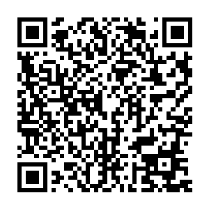 其实龙傲天刚才没有注意到他们的到来所以才会使用出普通的攻击二维码生成