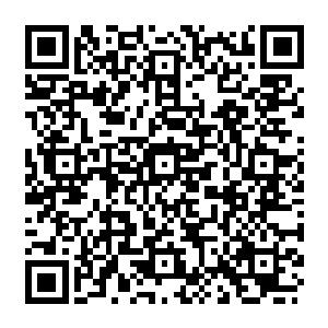 其实龙傲天最后用出的擒龙手不过是一种地球上武林中中比较出名的一种武功罢了二维码生成
