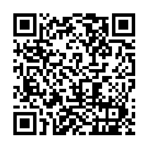 其次一个白莲境界的修士怎么可能单枪匹马在星宿海活到现在二维码生成