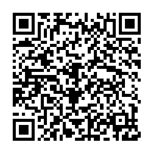 其采访中央领导的视频选段在微博圈子和视频门户网站小火了一把二维码生成