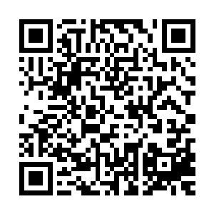 具体要到比较明确还需要过了书记碰头会之后才会大致确定下来二维码生成