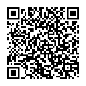 兽神大陆和守护家族根本就不可能等到他们拥有足有强大的实力时才对他们动手二维码生成