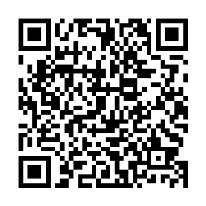 内侍宫女侍卫御医值守的官员以及御膳房皆被拷问了一遍二维码生成