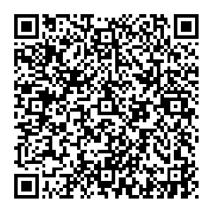 内讧……咱们冲上来的时候武松手下的那帮人不肯冲啊……他们想要等宋头领手下死完了以后拿头领之位啊……我是逼不得已的二维码生成