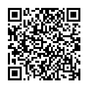 再一想自己为了疗伤而将珍传无数年的星帝令拿出去交换灵丹二维码生成