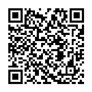 再一次的勾起了南域上众多武者以及大小势力的议论声二维码生成