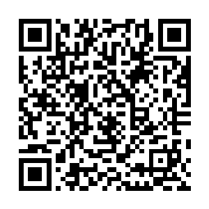 再一次确认这一片禁地的地下和风水不会有什么问题之后二维码生成