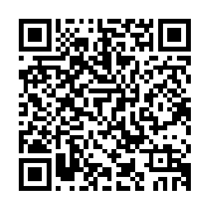 再三向他表达刚才对他的担忧以及自己个人对秦洛的信任和友谊二维码生成