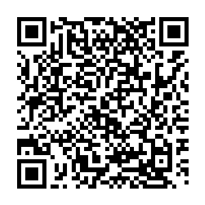 再也不会出现林封谨因为嗅觉灵敏一旦闻到臭味就会被加倍重创的事情了二维码生成