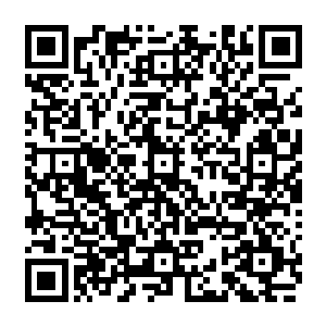 再也没有了十几秒之前的那种绝对的狂暴和不可一世了……伴随着这一声清脆的声响二维码生成