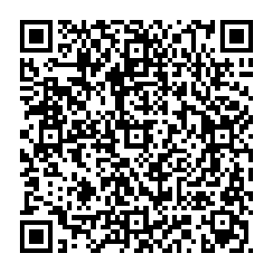 再从分子分化为更小的……量子……这些细微的可以传入任何地方的量子开始一点点地冲击和改造原本的基因组合二维码生成