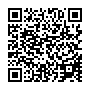 再以修罗将军为核心够成的临时界域……这是一种残忍大阵二维码生成
