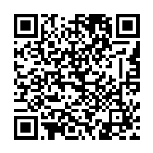 再到具体落实他都是一力qin为甚至也确定了几个县作为试点二维码生成