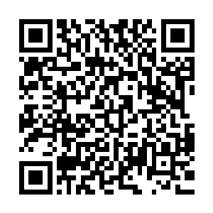 再加上一支高素质的炮兵队伍能够提供及时而准确的火力支援二维码生成