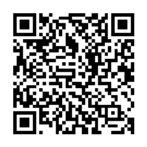 再加上一辆完美级巴尔西昂和另外四辆稍微差些的混合型古兰修二维码生成