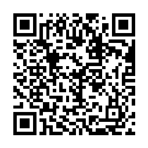 再加上两家旅行社和一家包括出租车公司的旅游汽车公司二维码生成