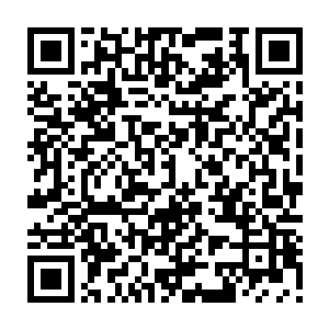 再加上之前宣传的时候就着重的烘托出了你不看正版我就要倒闭的一种环境二维码生成